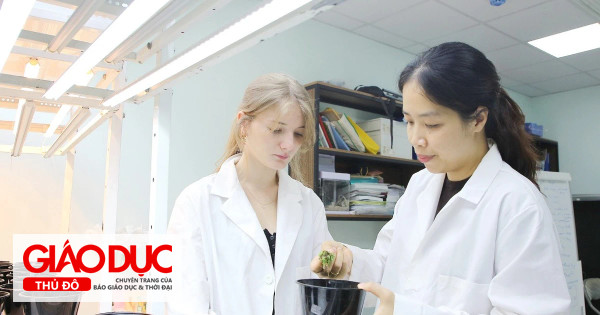 Ba đại học đầu tiên chạy đua thành đại học tinh hoa: Tham vọng và bài toán tiêu chí