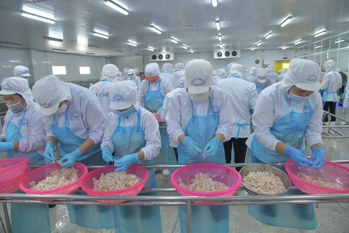 Thuế Mục 301: Cú sốc chi phí và cuộc đua sống còn của doanh nghiệp thủy sản