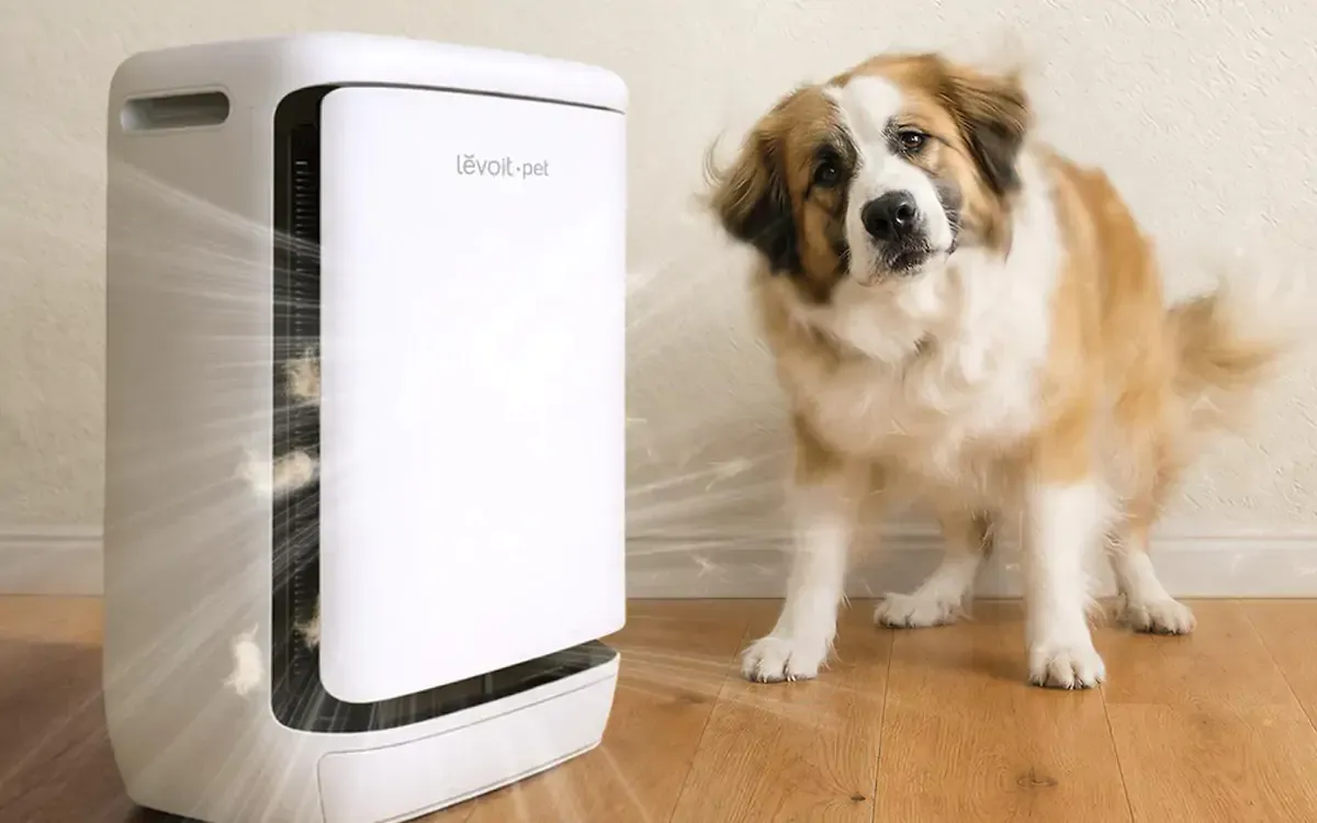 Levoit Vital Pet Pro: Máy lọc không khí thú cưng có đáng tiền?