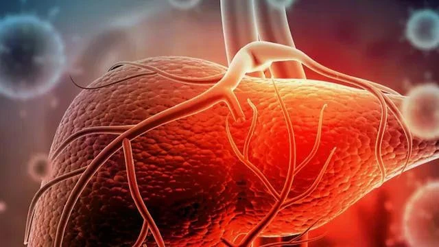 Thuốc nam không rõ nguồn gốc: Khi gan lên tiếng kêu cứu
