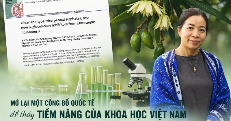 Dược liệu Việt Nam giàu hợp chất sinh học nhưng mắc kẹt trong phòng thí nghiệm