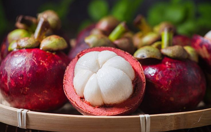 Táo đỏ, lá tía tô, nụ hoè: Uống đúng lợi ích, uống sai thành hại
