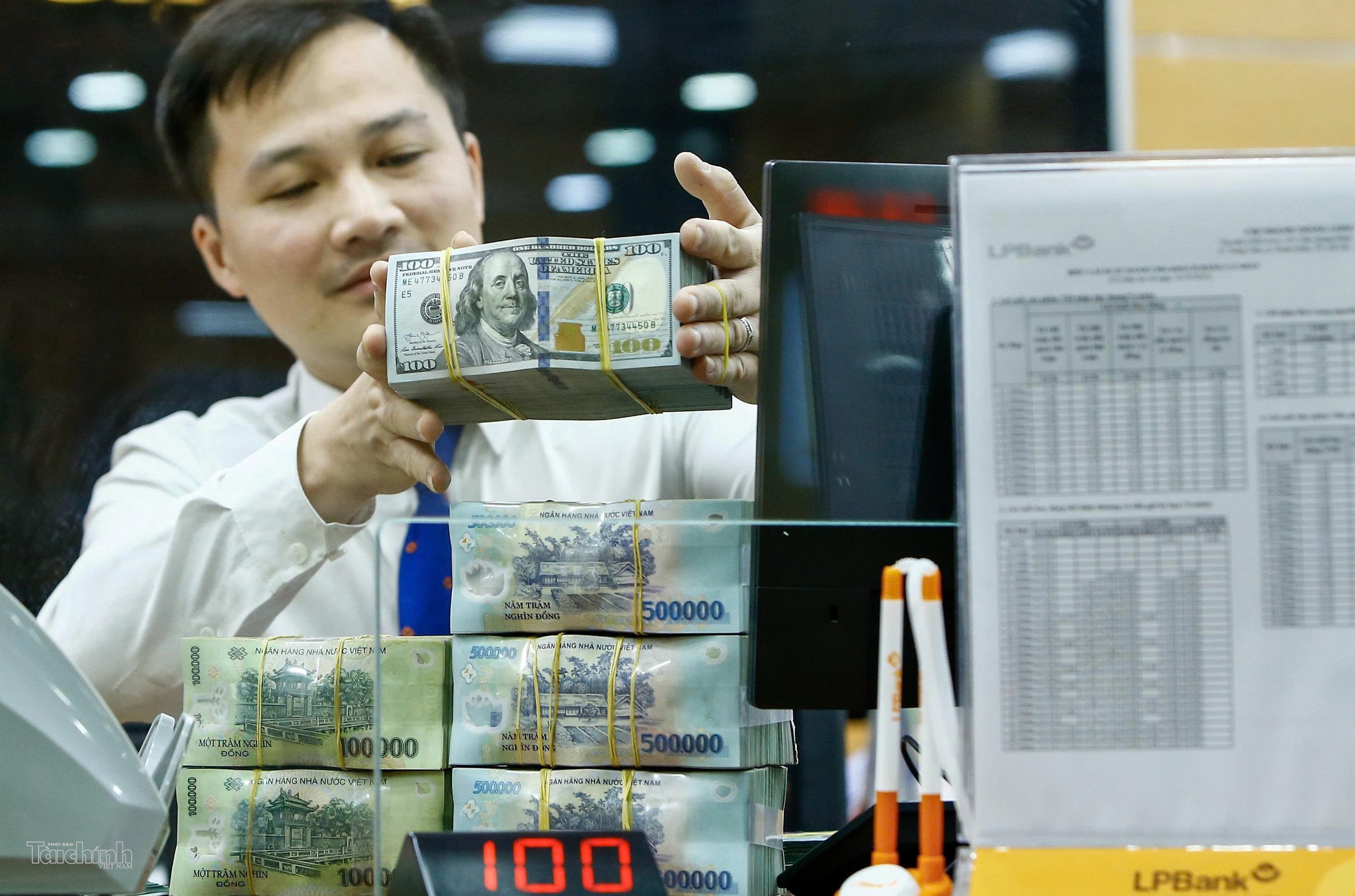 Vốn xanh dồi dào nhưng mắc kẹt: Việt Nam thiếu gì để hút được?