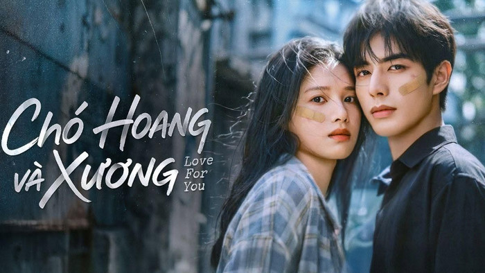 Phim ngôn tình chữa lành: vì sao khán giả chọn sự nhẹ nhàng
