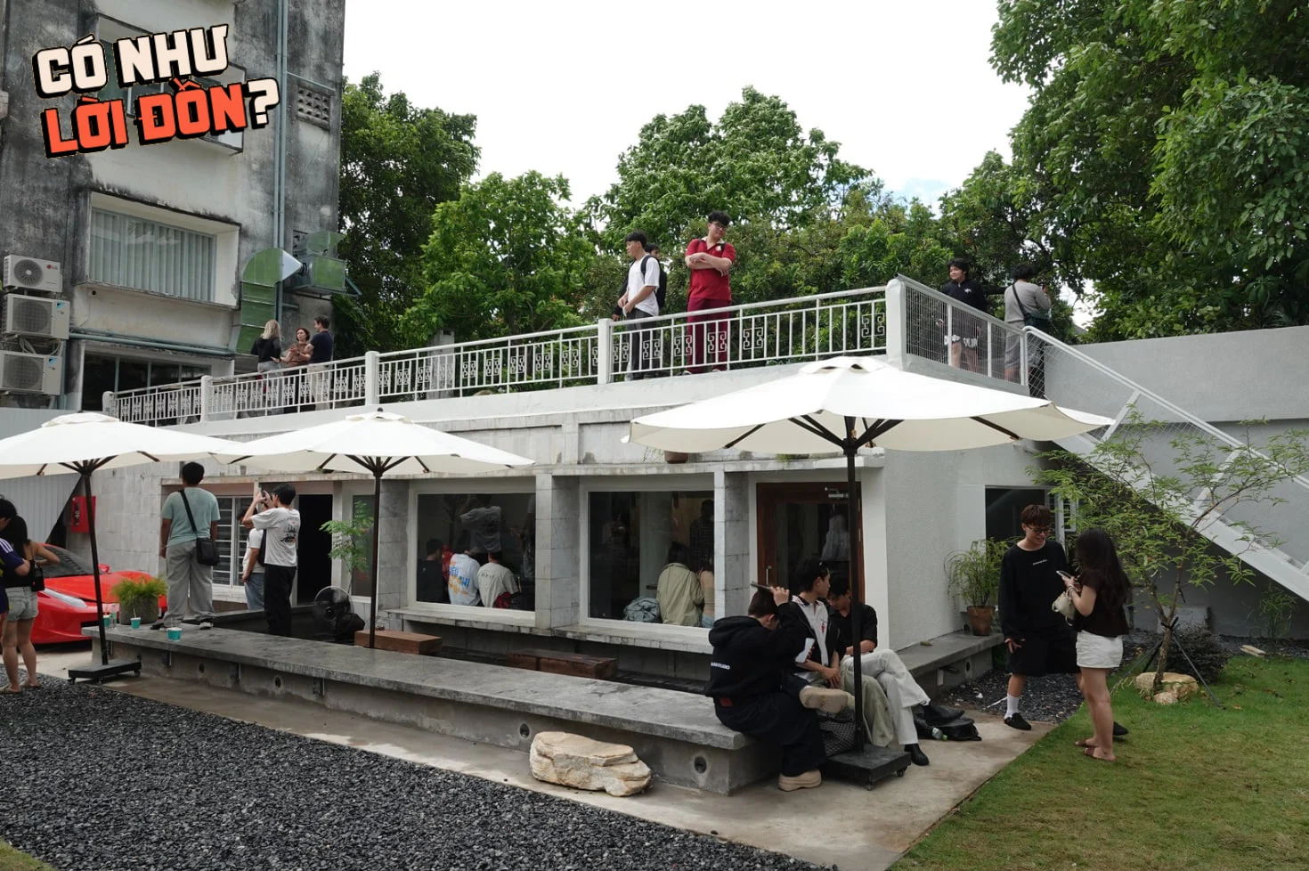 Den Dau của Văn Mai Hương: hiện tượng cà phê tối giản ở Thảo Điền