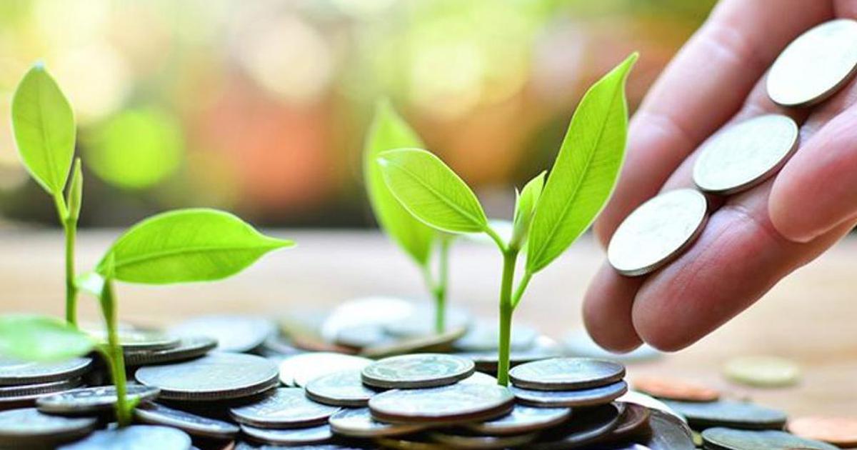 Tín dụng xanh chiếm 1/4 hệ thống tài chính: mục tiêu tham vọng nhưng cần cú hích hệ sinh thái
