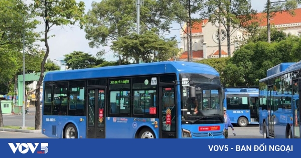 Miễn phí vé xe buýt: Cơ hội vàng cho du khách ngân sách hạn chế