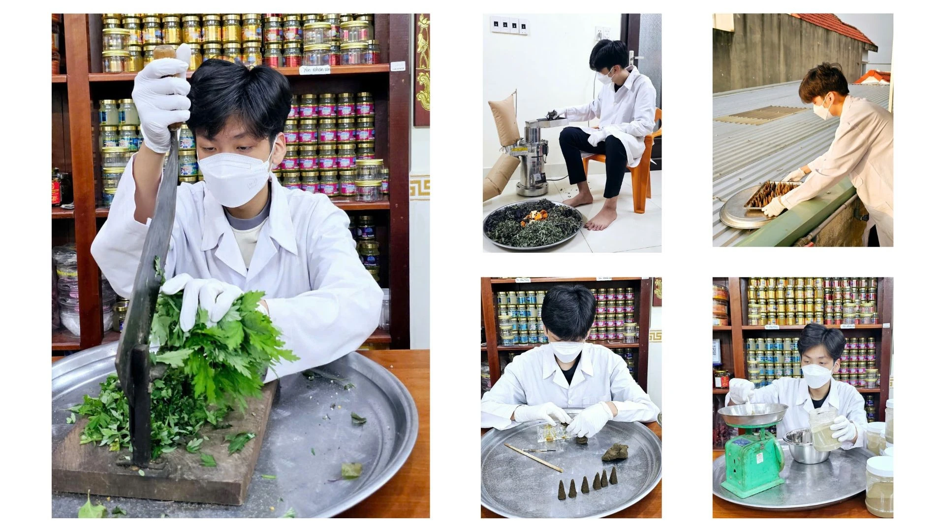 Từ du lịch đến tinh dầu quý: làn sóng khởi nghiệp nông nghiệp dược liệu mới