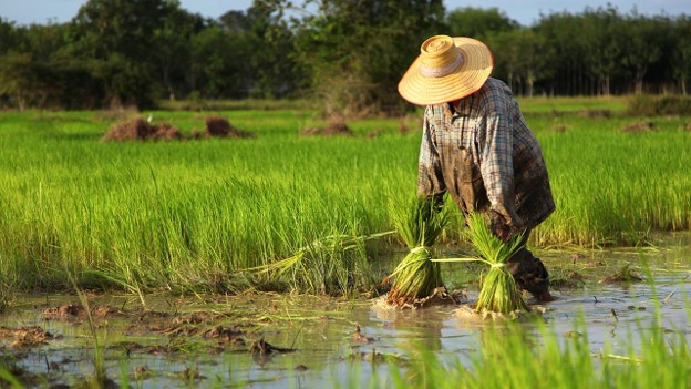 Học sinh đỗ đại học nhưng chọn cao đẳng: Sự đổi hướng lộ trình học tập