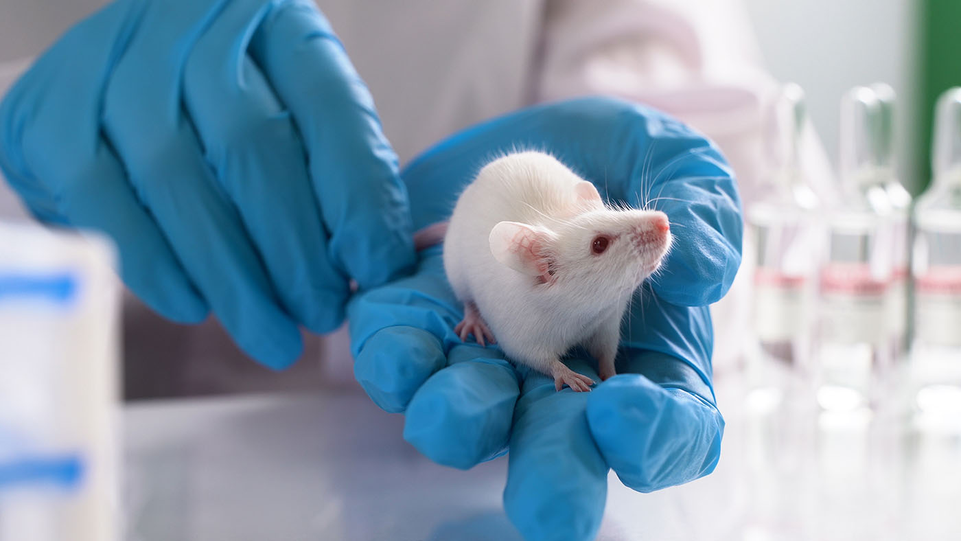 How Childhood Trauma Physically Rewires the Brain’s Stress Shield