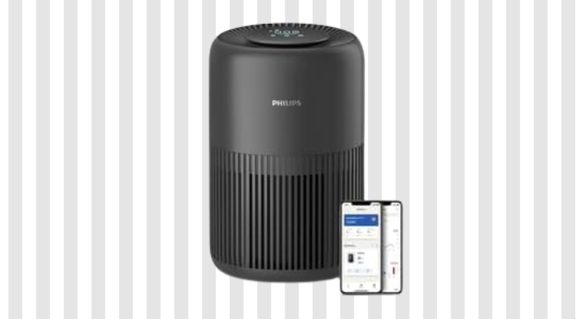Air Purifiers vs Dehumidifiers: The Device Your Home Actually Needs