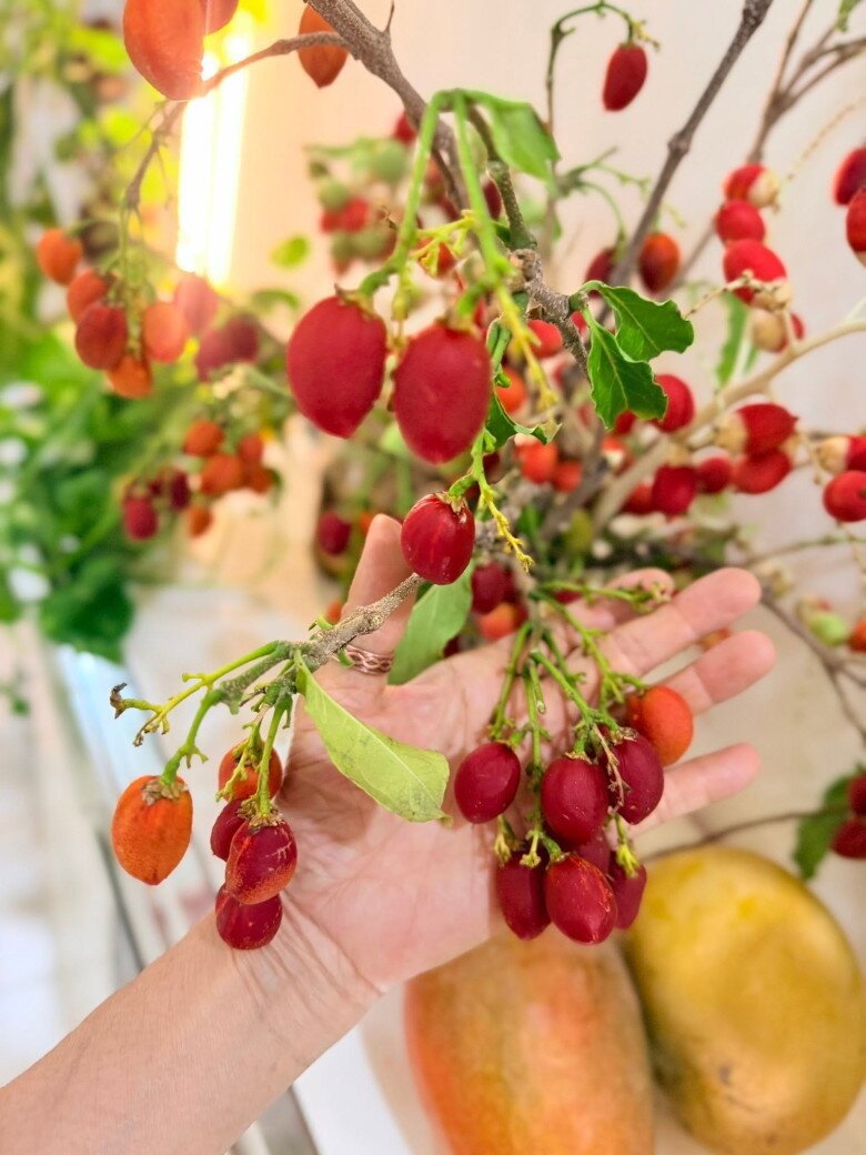 Từ sân khấu đến ghế phó chủ tịch: Hành trình kép của ca sĩ Mỹ Lệ