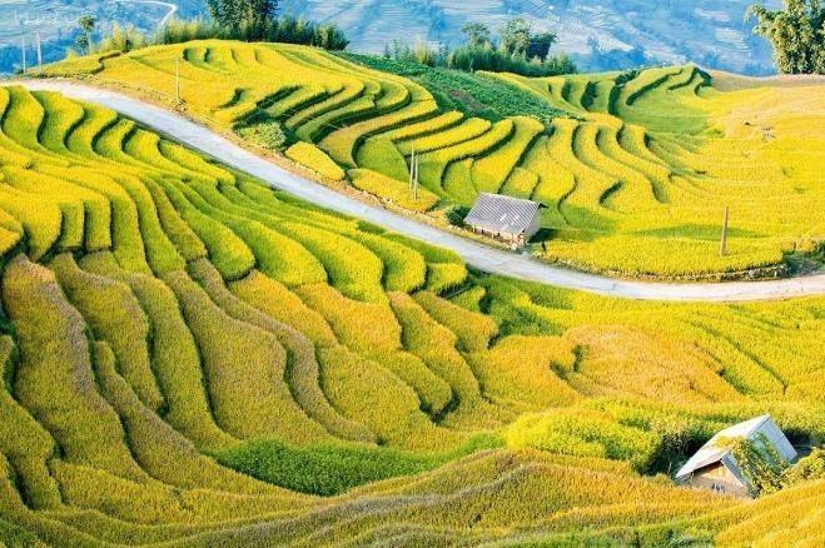 Y Tý mùa vàng: Ba tháng lễ hội níu chân du khách