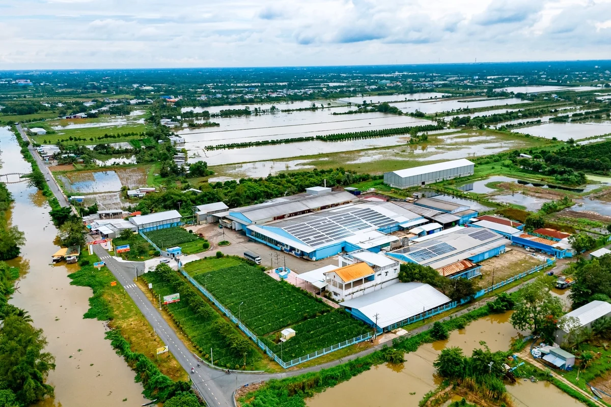 Các thành phố Việt Nam điều chỉnh lộ trình Net Zero: Thực dụng hơn, tham vọng hơn