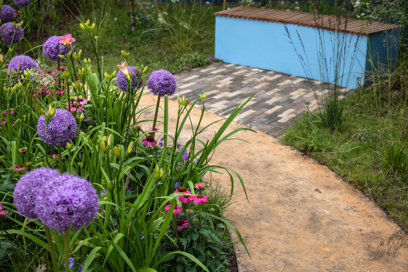 Common Backyard Plants That Could Poison Your Cat