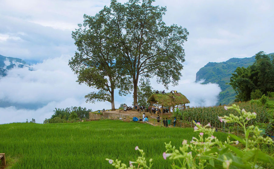 Y Tý mùa vàng: Ba tháng lễ hội níu chân du khách