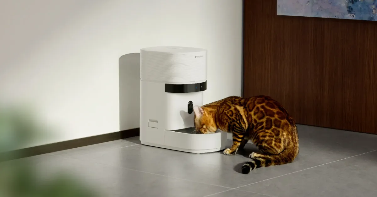 Smart Pet Feeders Going Offline: Why Your Cat’s Dinner Depends On The Cloud