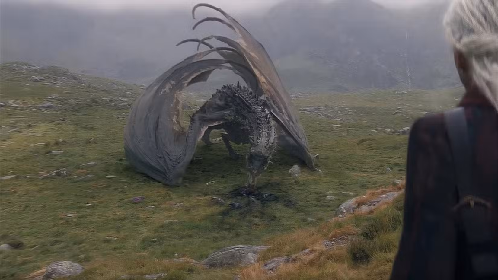 What Happens to Every Remaining Dragon in House of the Dragon