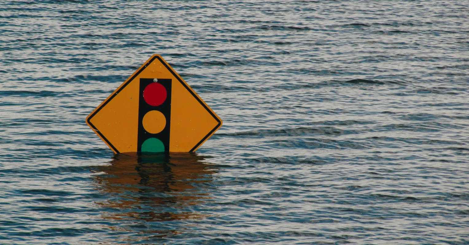 What Actually Helps After Trauma: Designing Real Support Systems