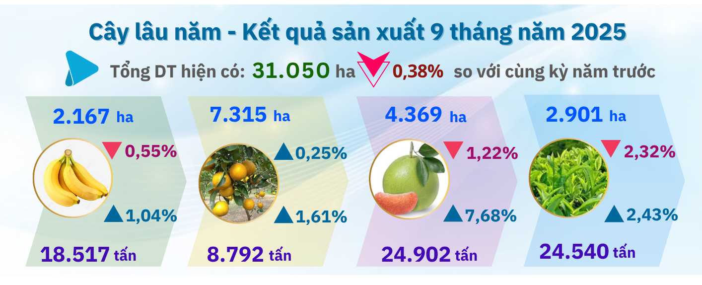FDI Hà Tĩnh: Từ các dự án công nghiệp đến hệ sinh thái kinh tế mới