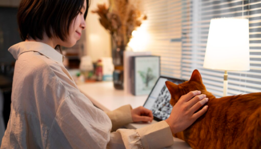 When Smart Appliances Go Too Far (and When They Are Worth It)
