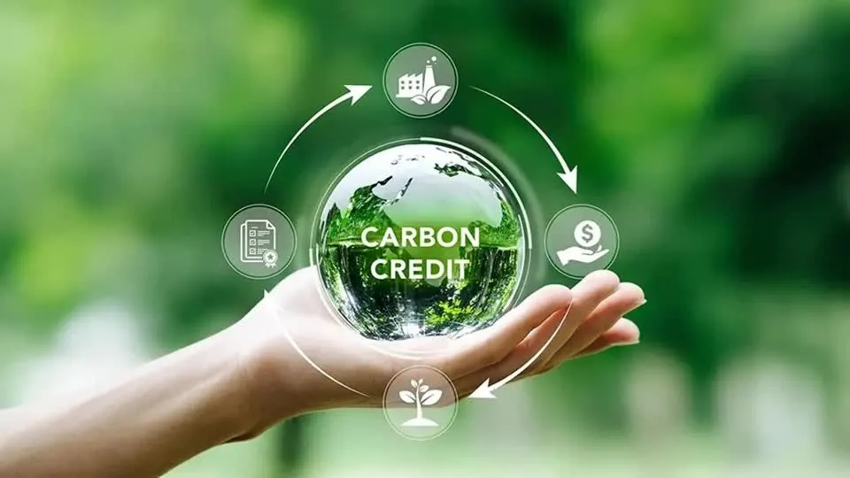 Thị trường carbon Việt Nam: Từ khung pháp lý đến vận hành thực tế