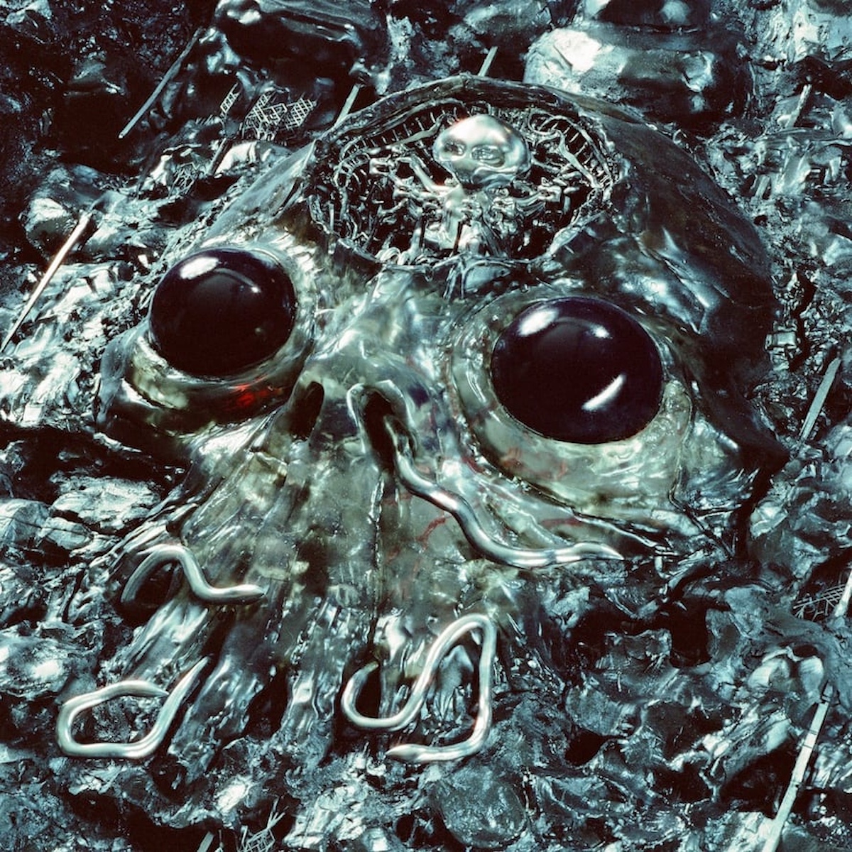 Progressive Rock’s New Wave: King Gizzard and Ozric Tentacles Go Further Out