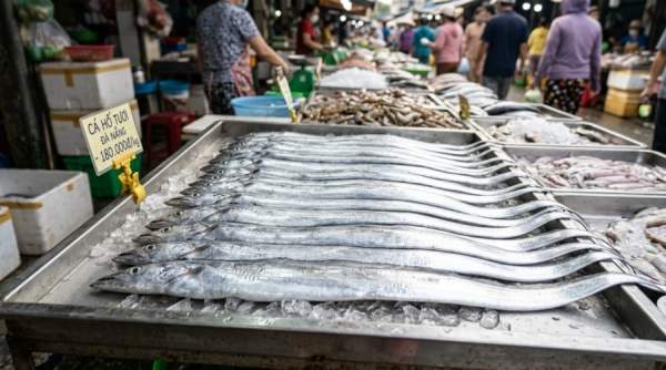 6 loại cá giá bình dân giàu DHA và canxi thay thế cá hồi