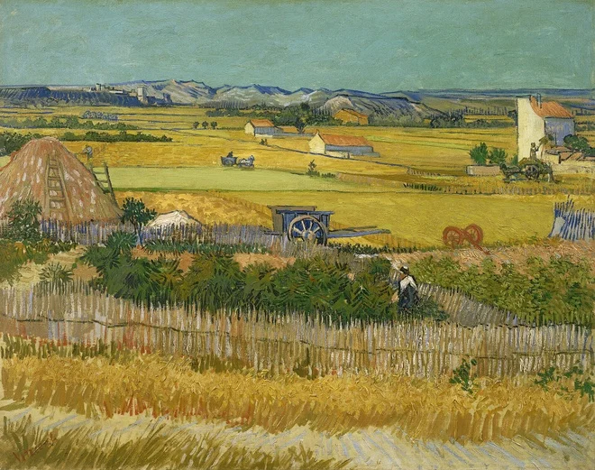 Khám phá Provence qua mắt Van Gogh: Ánh sáng định hình di sản