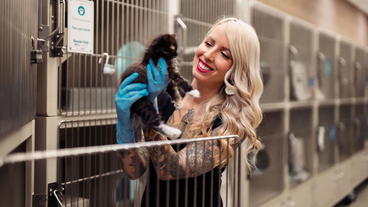 Expert Tips for Safely Introducing Your Shelter Pet to a Multi-Pet Home