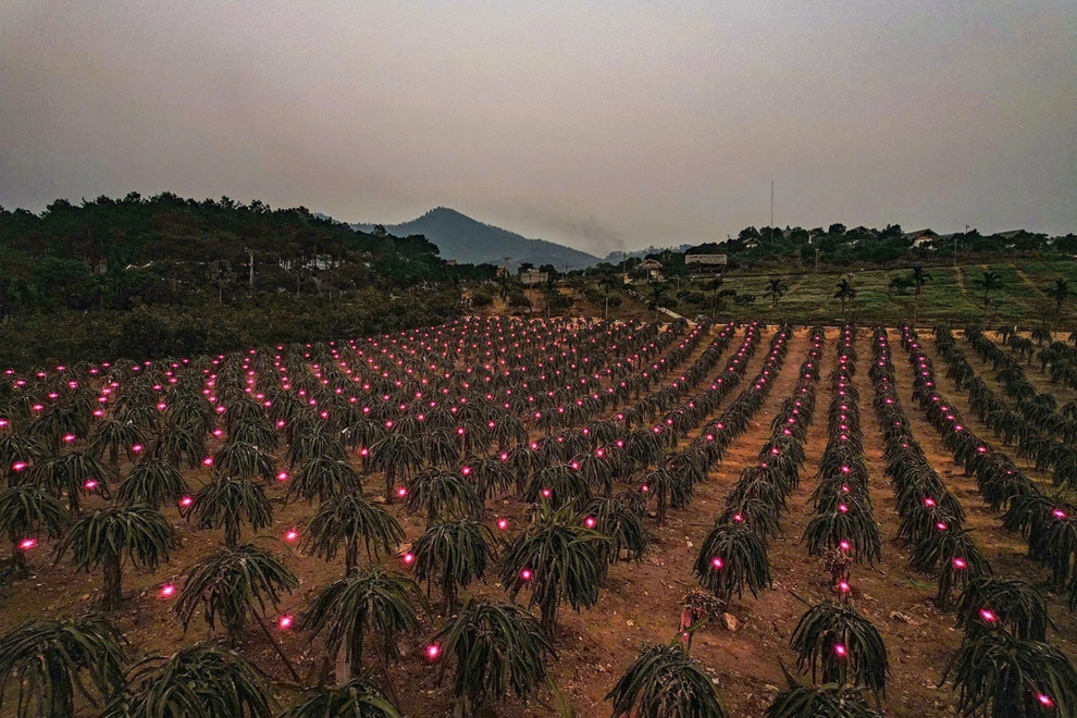Tại sao du khách nước ngoài bất ngờ yêu thích Việt Nam