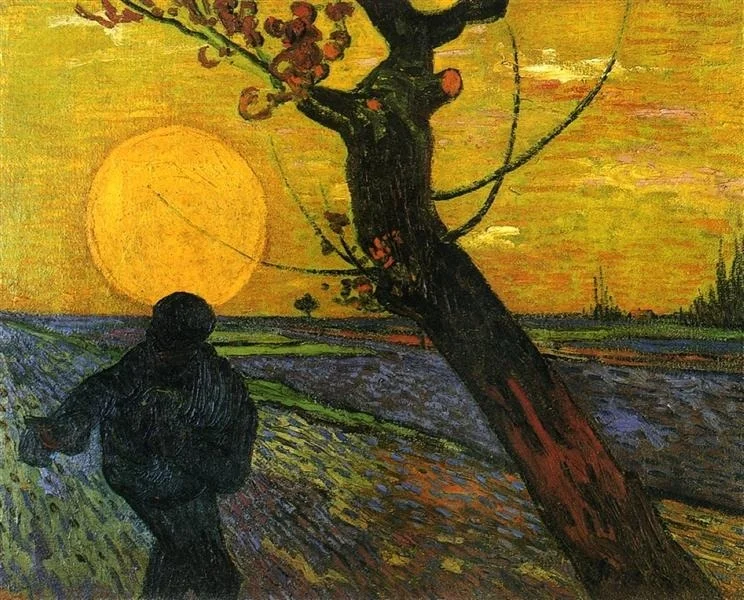Khám phá Provence qua mắt Van Gogh: Ánh sáng định hình di sản