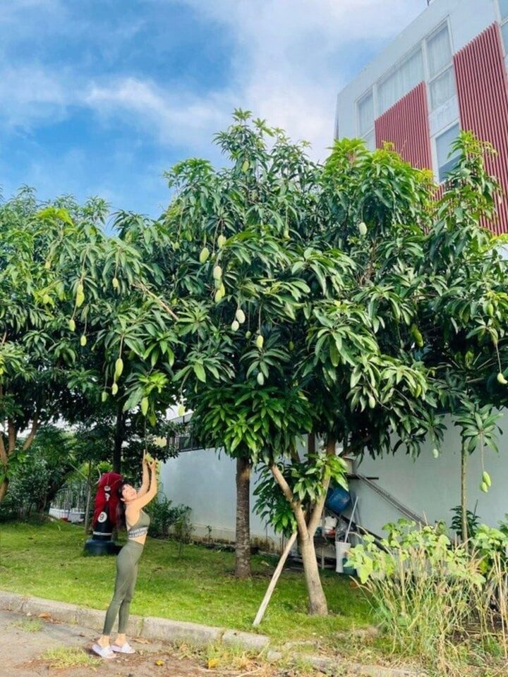 Bên trong những căn nhà sang trọng của sao Việt