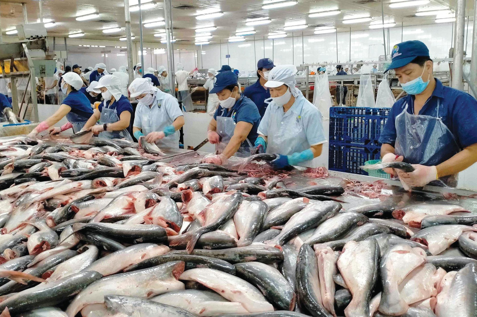 Thuế quan thủy sản Mỹ đảo trục nguồn cung toàn cầu