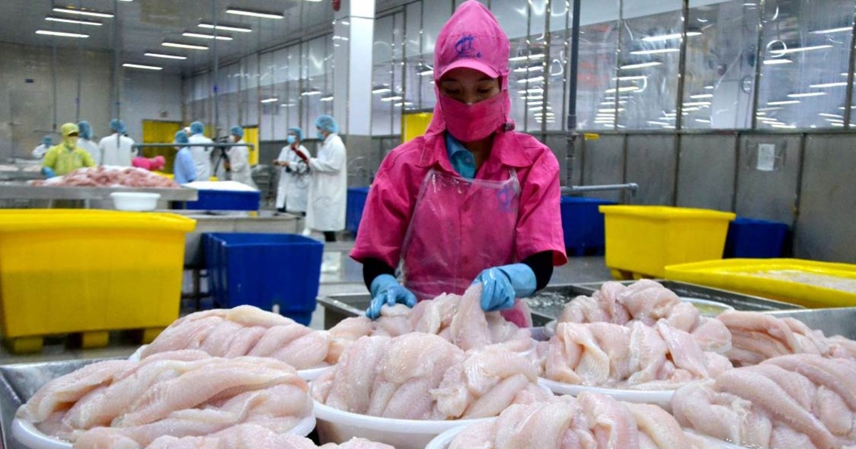 Thuế cá tra Mỹ tăng sốc: cú hích buộc doanh nghiệp Việt Nam thay đổi chiến lược