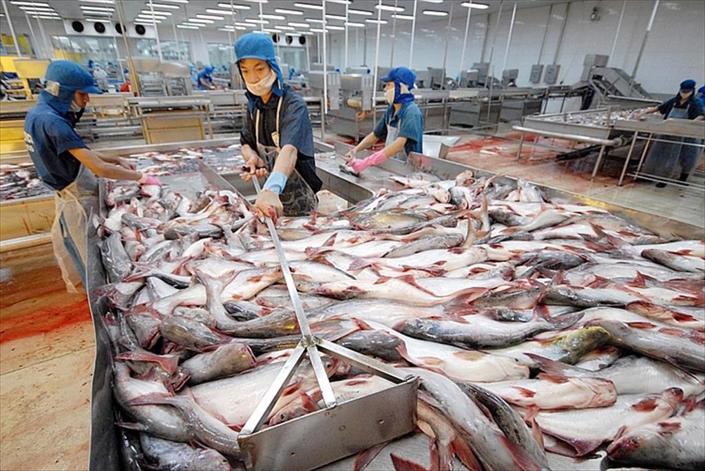 Việt Nam trở thành cầu nối chiến lược cho nông nghiệp Canada vào ASEAN