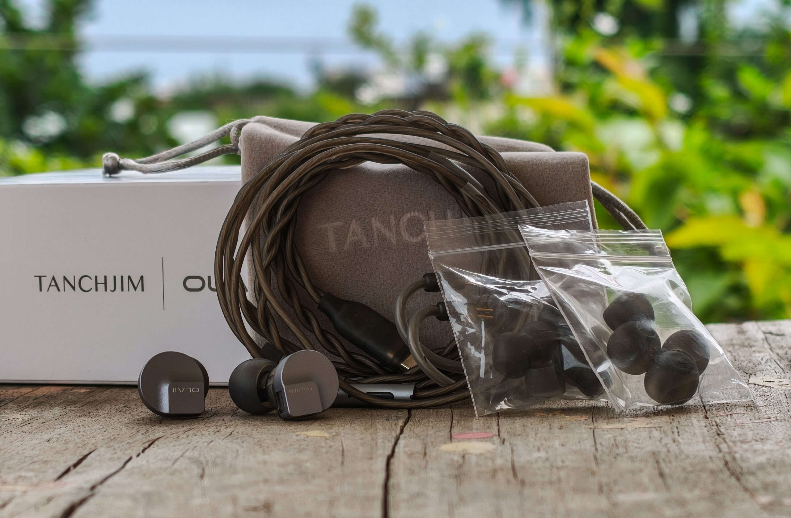 Budget Audiophile IEMs That Compete With Flagships