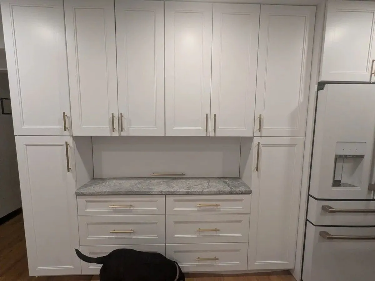 How Built-In Appliance Cabinets Are Redefining Minimalist Kitchen Aesthetics Without Sacrificing Function