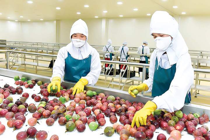 Xuất khẩu nông sản khu vực bứt phá: Cơ hội và rủi ro phụ thuộc Trung Quốc