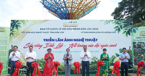 120 tác phẩm ảnh nghệ thuật kể chuyện sầu riêng Đắk Lắk