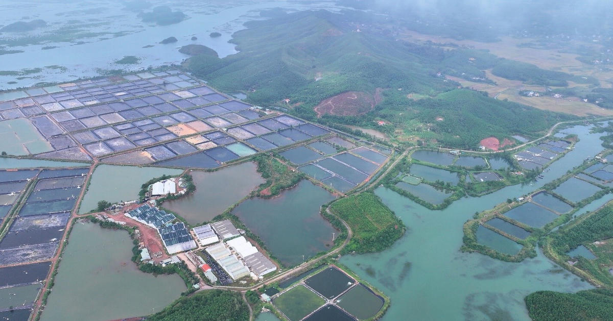 Quảng Ninh đề xuất 8 dự án điện mặt trời: Tham vọng trở thành trung tâm năng lượng phía Bắc