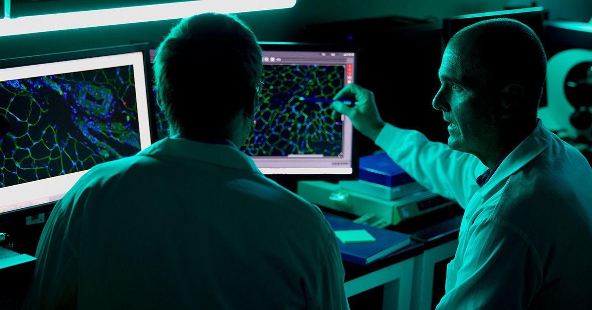 Universities Are Racing to Launch Data Science Majors—Here's What Students Need to Know
