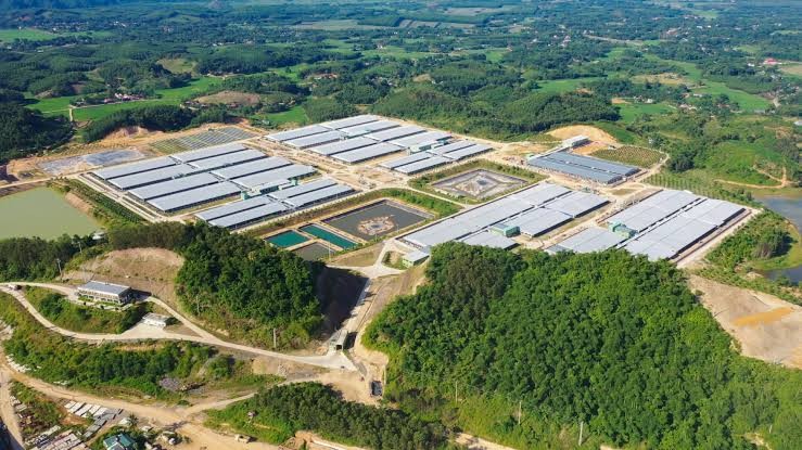 Ea Súp 5 bứt phá lợi nhuận: tín hiệu mới cho mô hình điện mặt trời