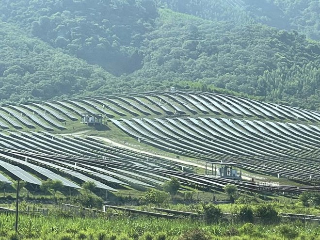 Khánh Hòa tăng tốc điện mặt trời, mở cửa 20 dự án điện xanh