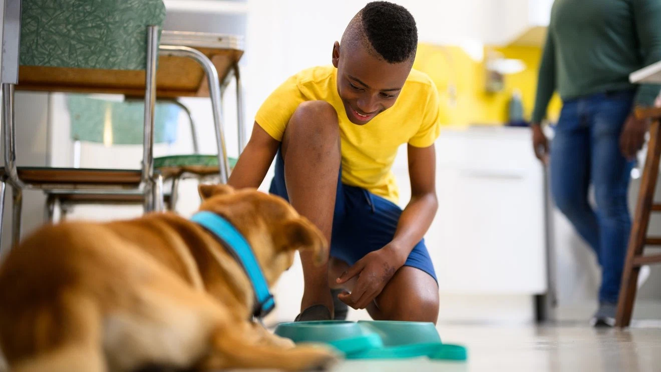 First-Time Pet Adoption: A Friendly Guide to Your New Companion