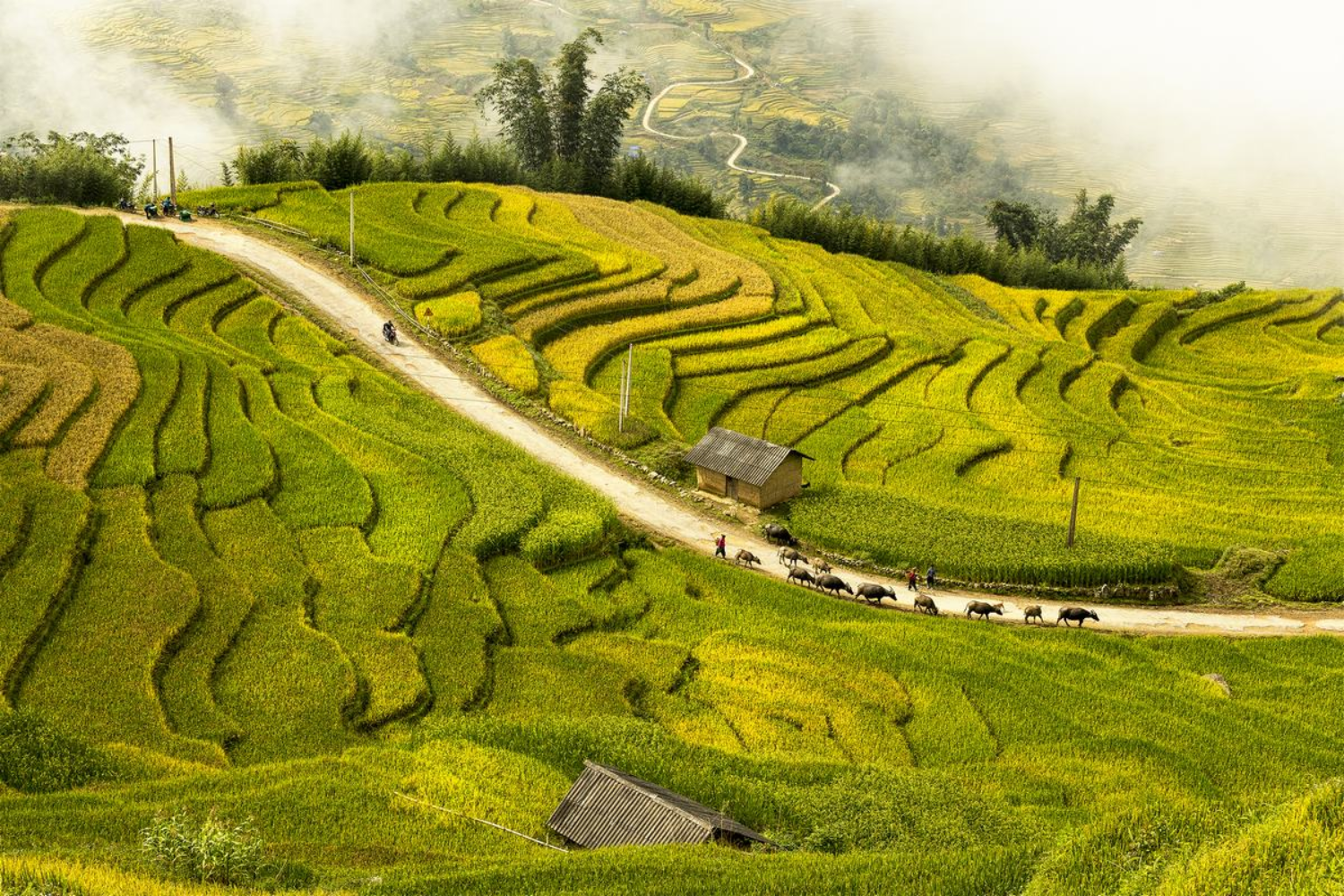 Mùa vàng: khi khuyến mãi du lịch thu gặp lễ hội trên mây
