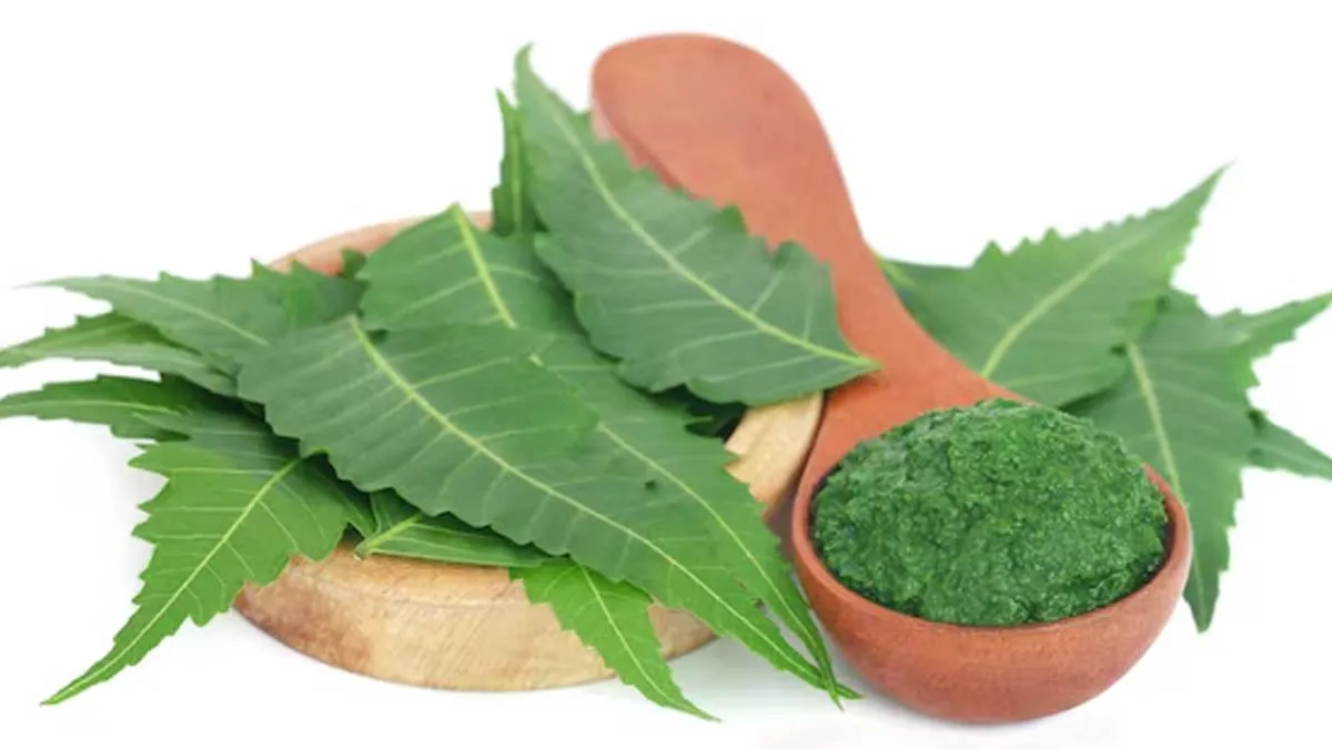 Neem and Lemon Face Pack DIY for Monsoon Breakouts