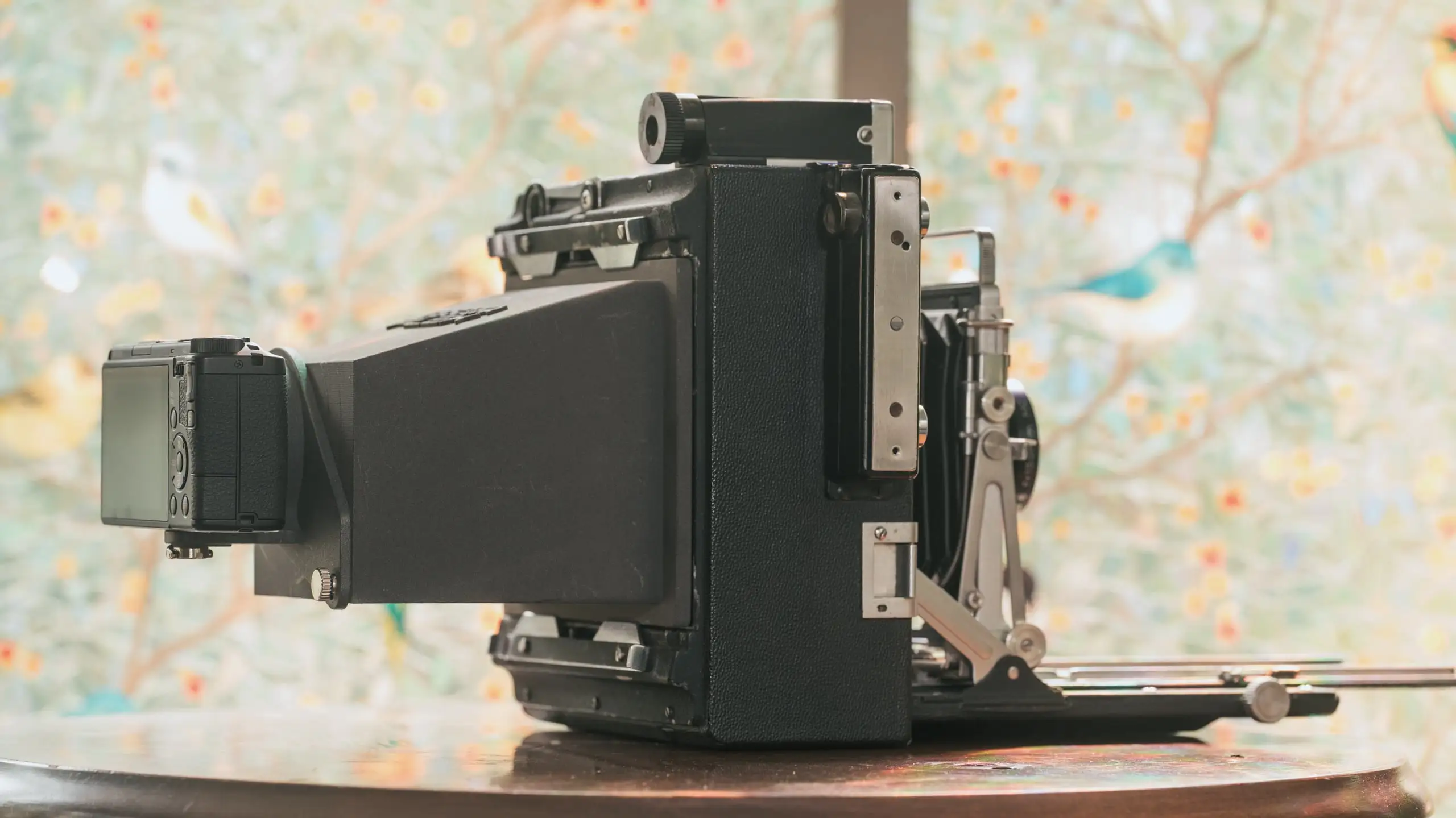 5 Essential Tips for Starting Your Film Photography Journey