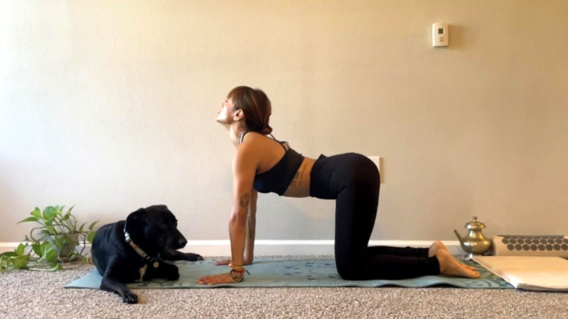 Breathing and Movement Techniques That Lower Stress in Minutes