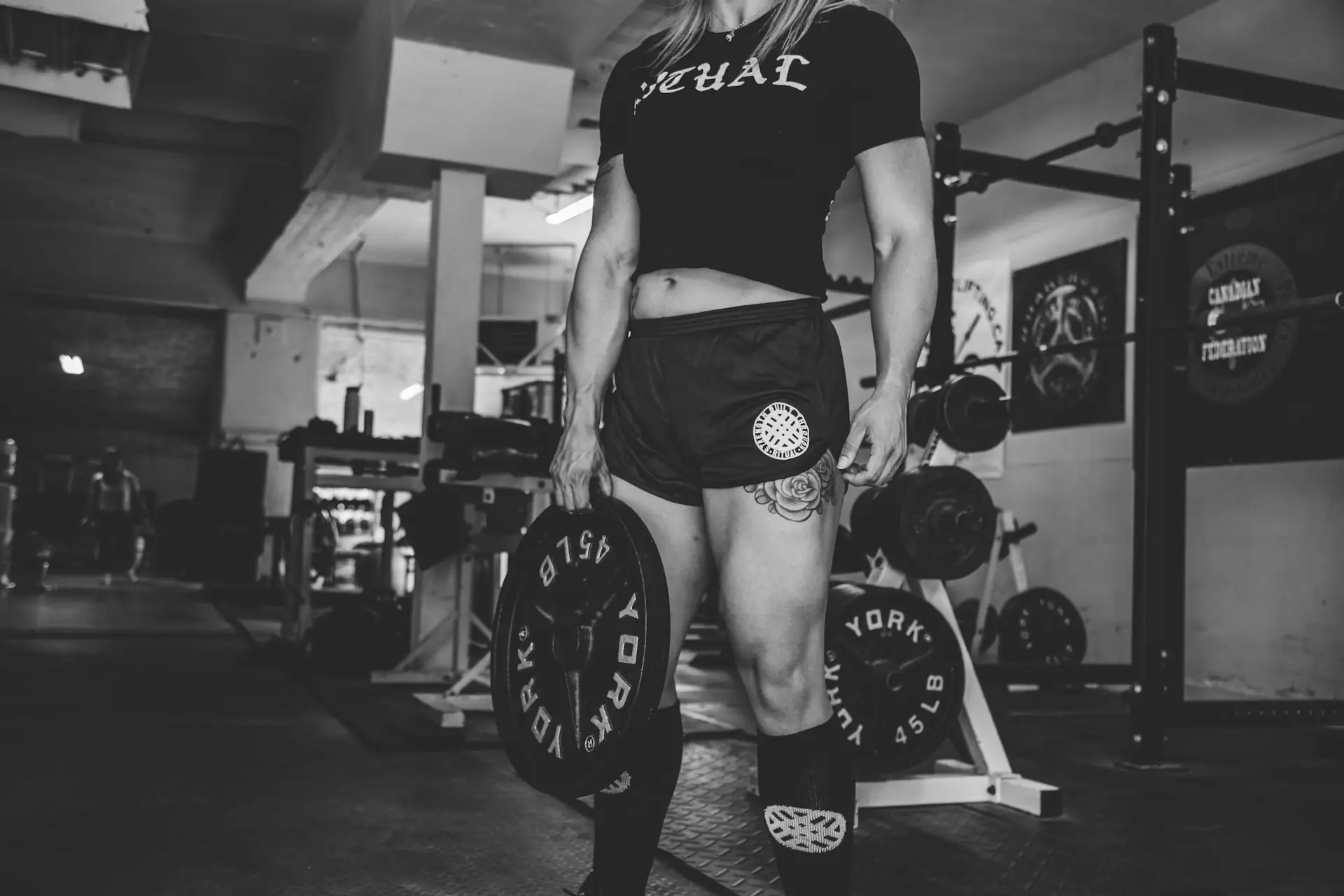 Reverse Nordic and Bird Dog: Joint-Friendly Core Strength